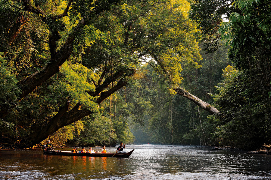 Taman Negara
